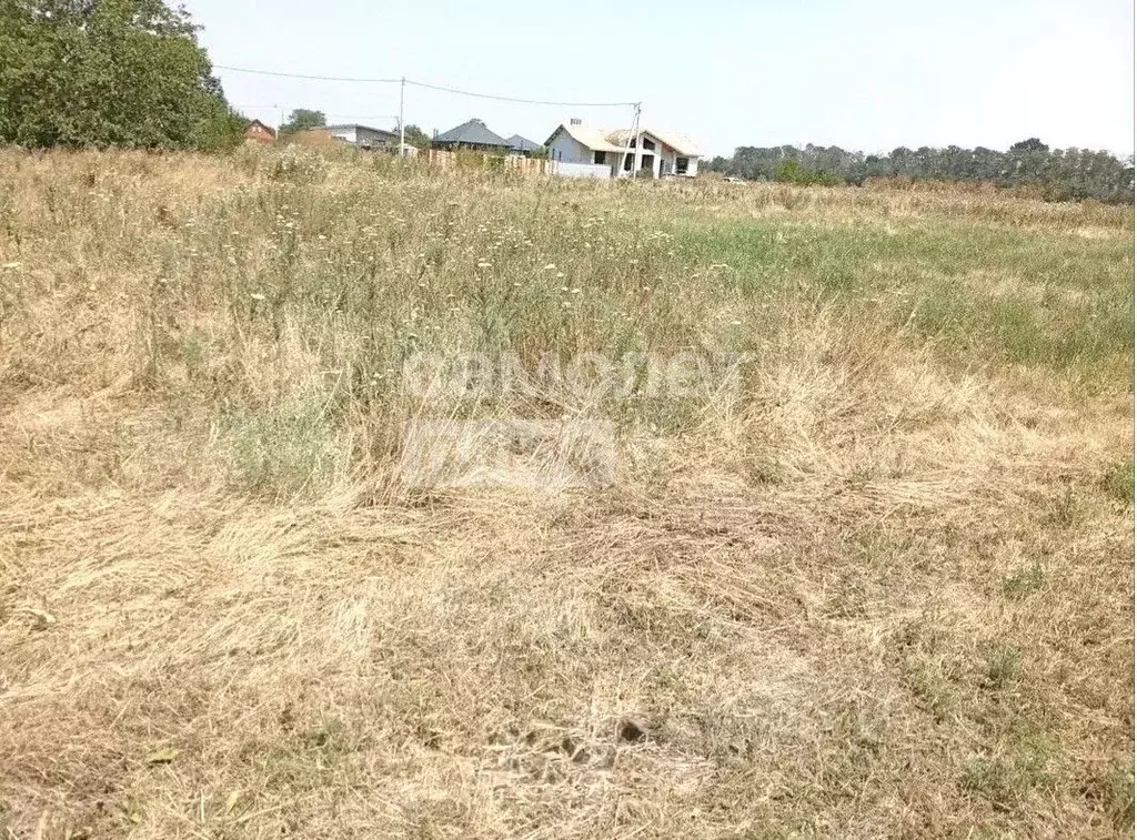 Участок в Краснодарский край, Тимашевск Индустриальный мкр, ул. ... - Фото 1