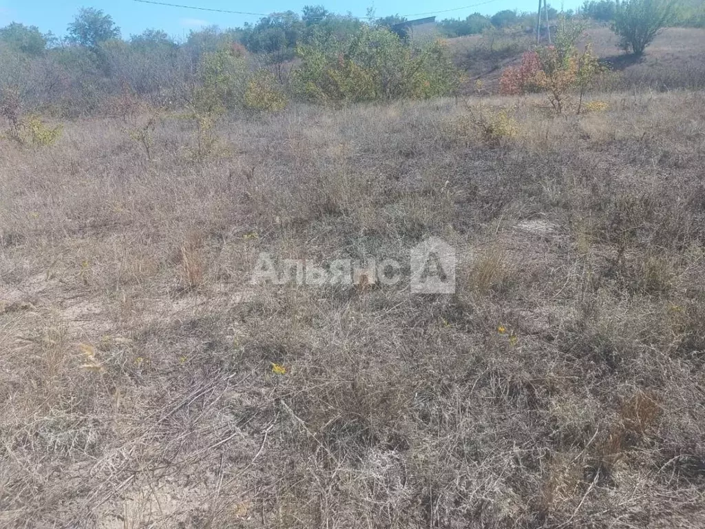 Участок в Ростовская область, Каменский район, Старостаничное с/пос, ... - Фото 2