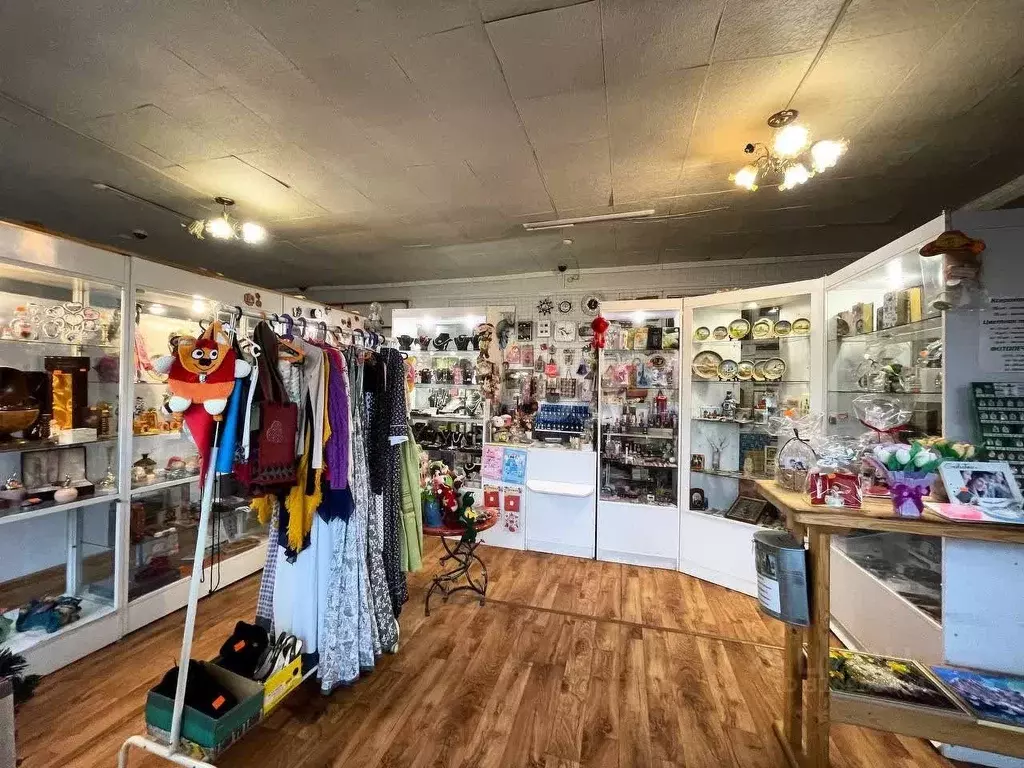 Торговая площадь в Ярославская область, Борисоглебский рп ул. ... - Фото 2