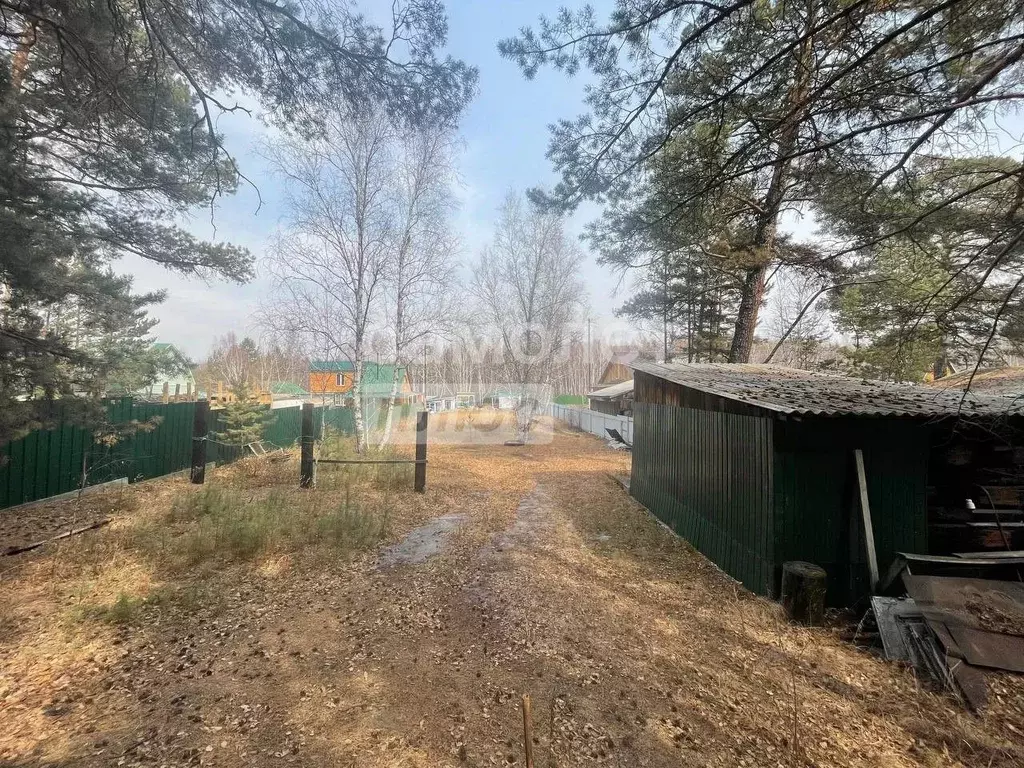 Дом в Забайкальский край, Читинский район, с. Смоленка  (30 м) - Фото 1