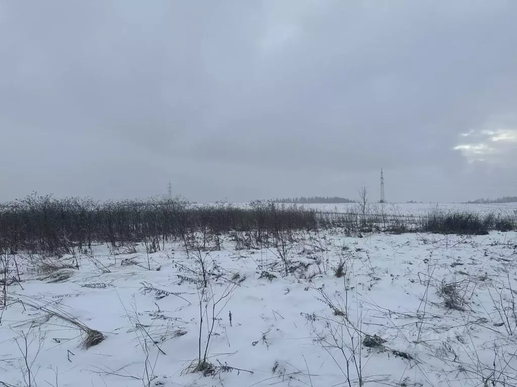 Участок в Московская область, Истра муниципальный округ, д. Филатово  ... - Фото 1