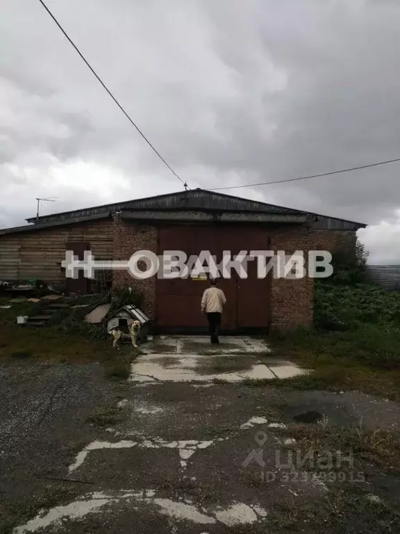 Помещение свободного назначения в Новосибирская область, Новосибирский ... - Фото 1