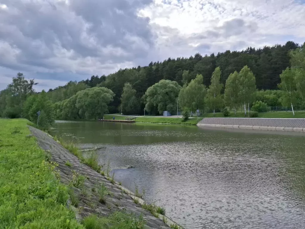 Участок в Московская область, Домодедово городской округ, д. Судаково ... - Фото 1