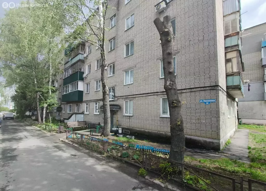 1-комнатная квартира: Пенза, улица Пушанина, 26 (30 м) - Фото 0