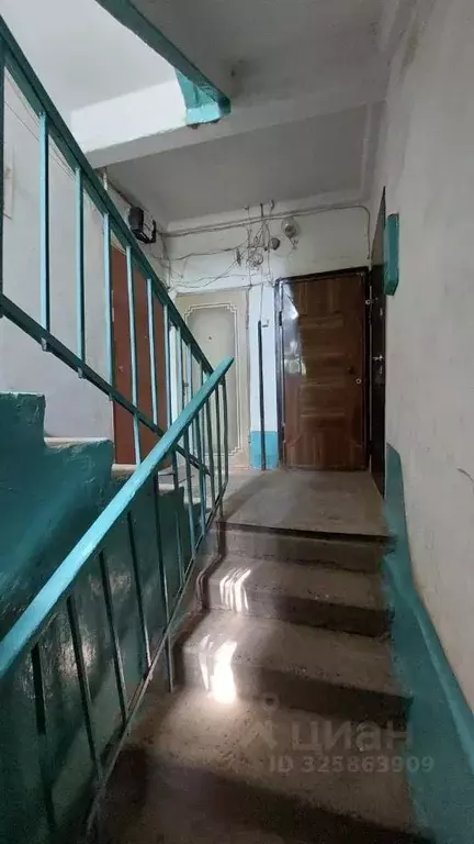 2-к кв. Оренбургская область, Гай Советская ул., 12 (42.9 м) - Фото 2