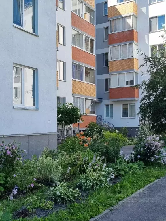 Студия Санкт-Петербург, Санкт-Петербург, Петергоф ул. Парковая, 18к3 ... - Фото 1