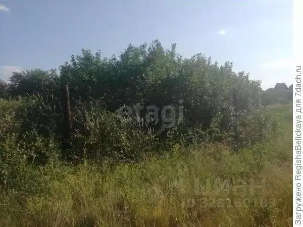 Участок в Калужская область, Бабынинский муниципальный округ, ... - Фото 2