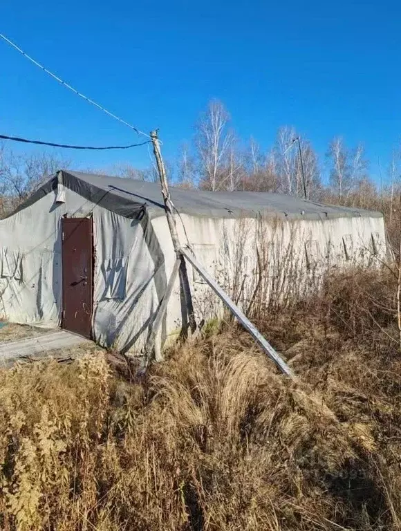 Дом в Еврейская автономная область, Смидовичский район, Энтузиаст СНТ ... - Фото 2