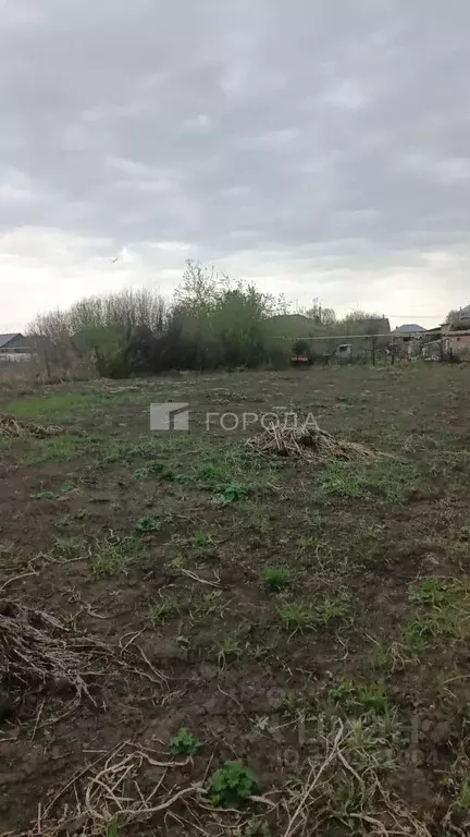 Участок в Новосибирская область, Новосибирский район, с. Толмачево ул. ... - Фото 1