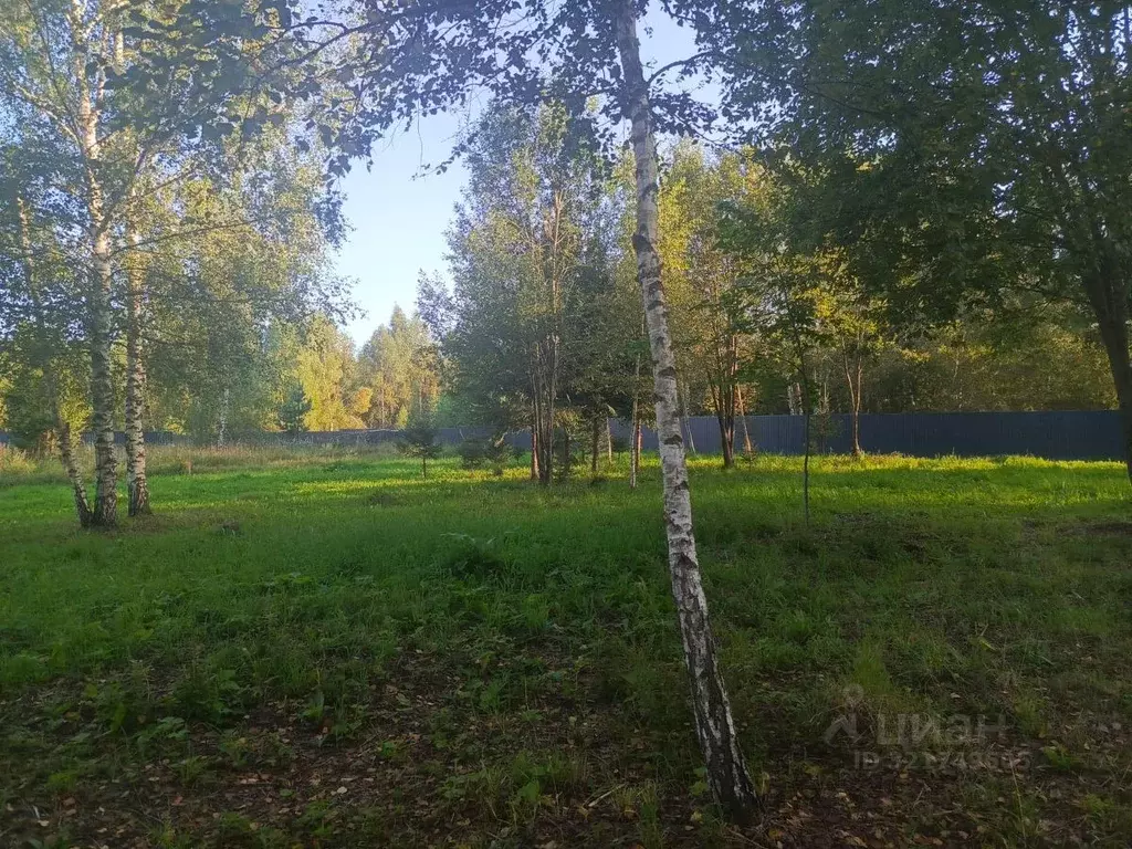 Участок в Московская область, Солнечногорск городской округ, д. ... - Фото 1