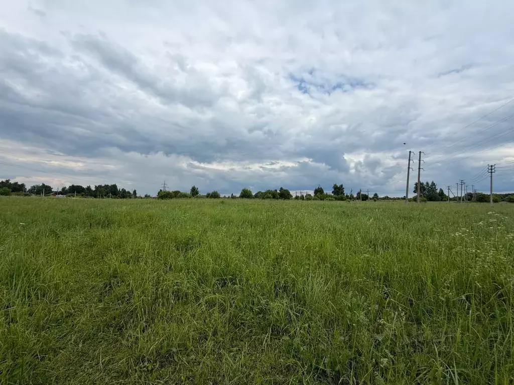 Участок в Московская область, Серпухов городской округ, д. Нефедово  ... - Фото 1