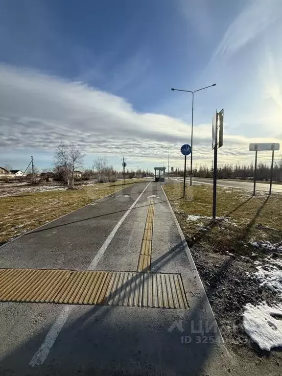 Участок в Ямало-Ненецкий АО, Новый Уренгой Фемида СНТ, ул. 1-я ... - Фото 2