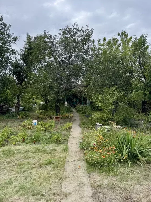 Дом в Волгоградская область, Волгоград Осень СНТ, ул. 2-я (25 м) - Фото 0