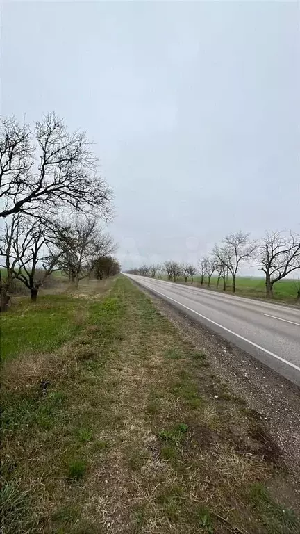 Участок 4 га (СНТ, ДНП) - Фото 1