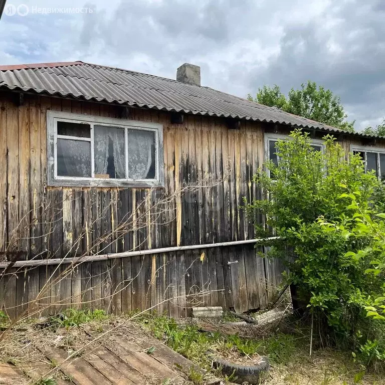 Дом в Куса, улица Некрасова (30.2 м) - Фото 2
