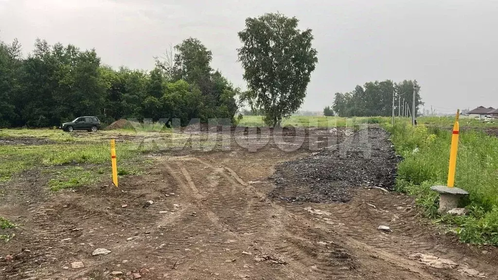 Участок в Новосибирская область, Новосибирский район, Морской ... - Фото 2