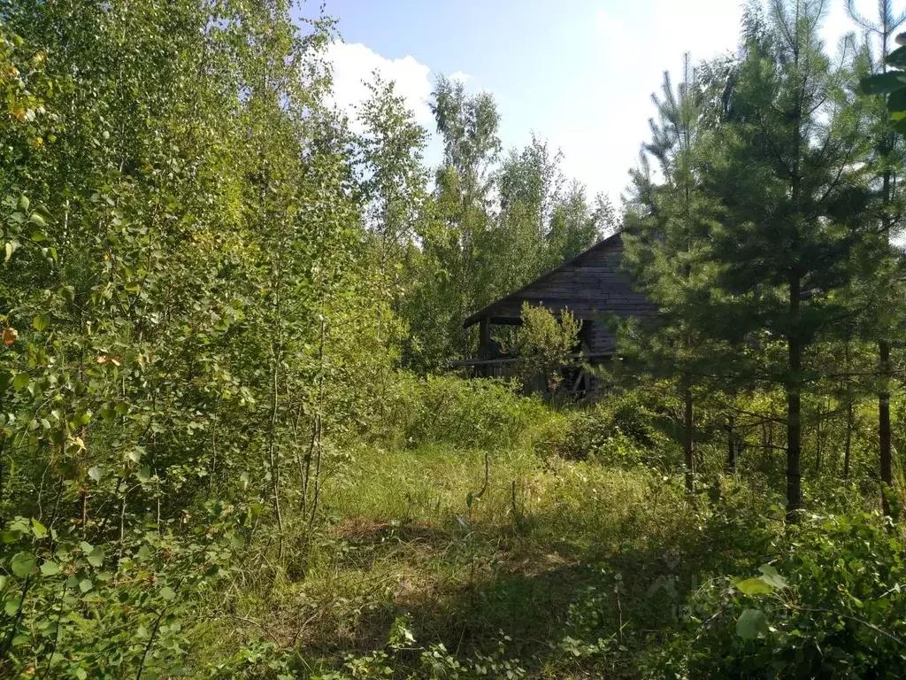 Участок в Московская область, Рузский муниципальный округ, ... - Фото 2