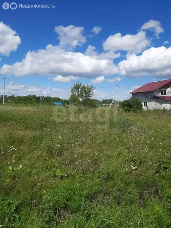 Участок в Смоленский район, Верх-Обский сельсовет, село Иконниково, ... - Фото 0