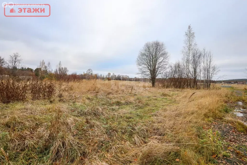 Участок в Прионежский район, Шуйское сельское поселение, деревня ... - Фото 1