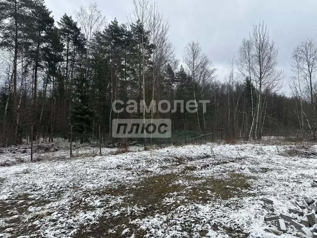 Участок в Московская область, Солнечногорск городской округ, д. ... - Фото 2