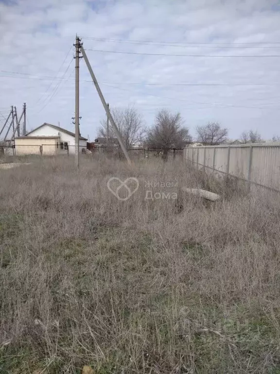 Участок в Волгоградская область, Городищенский район, Новонадеждинское ... - Фото 1