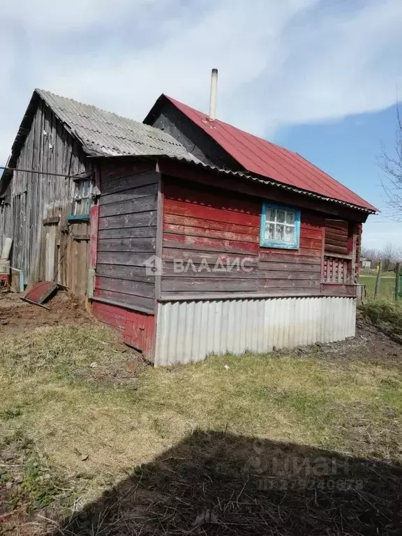 Дом в Пензенская область, с. Бессоновка ул. Компрессорная, 16 (40 м) - Фото 1