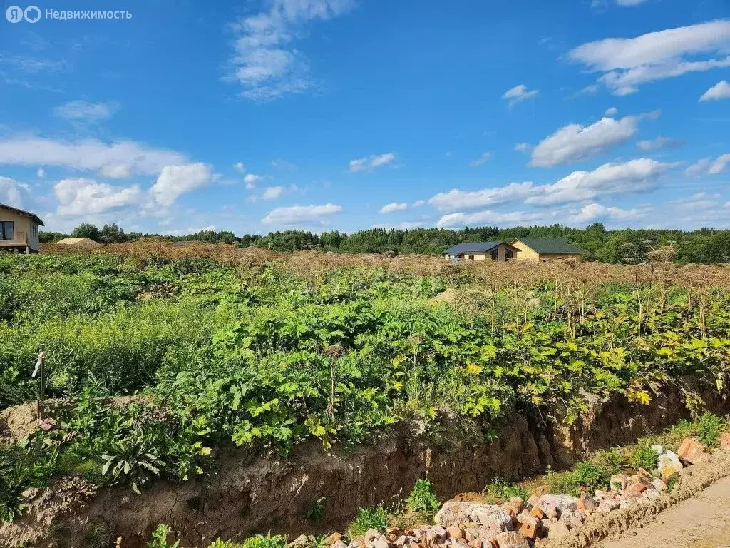 Участок в Выльгорт, Родные Просторы (9 м) - Фото 2