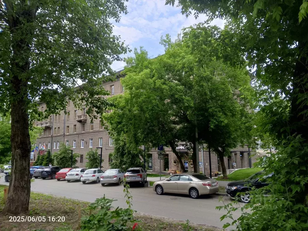 Помещение свободного назначения в Новосибирская область, Новосибирск ... - Фото 1
