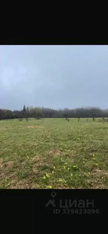 Участок в Ленинградская область, Тосненский район, Трубникоборское ... - Фото 1