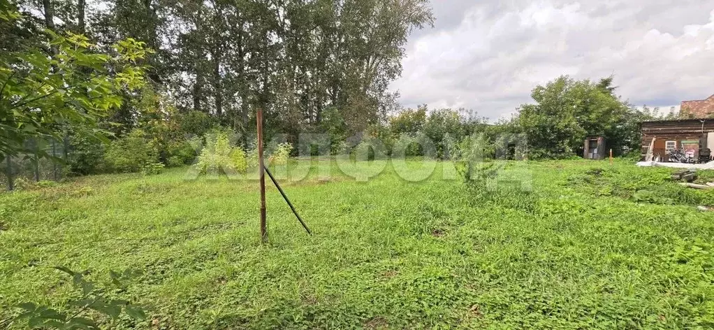 Участок в Новосибирская область, Ордынский район, с. Красный Яр ... - Фото 1