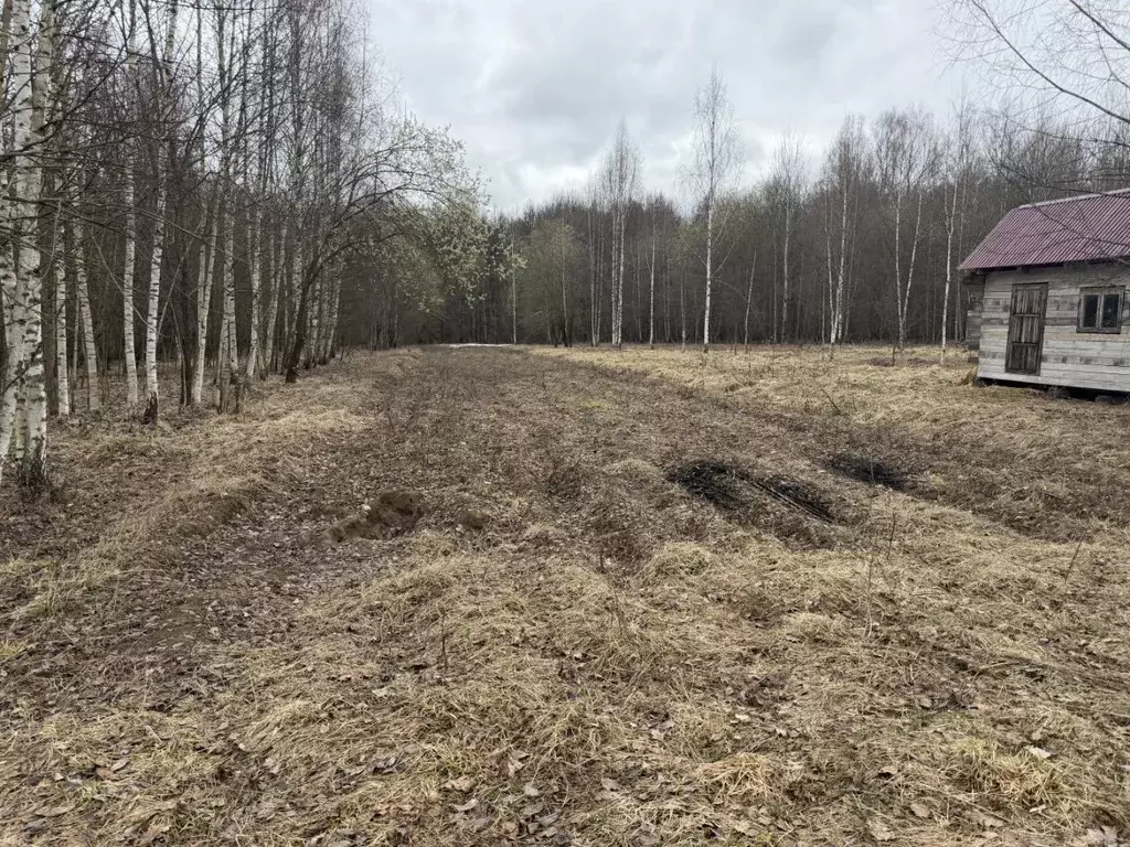 Участок в Владимирская область, Петушинский муниципальный округ, д. ... - Фото 2
