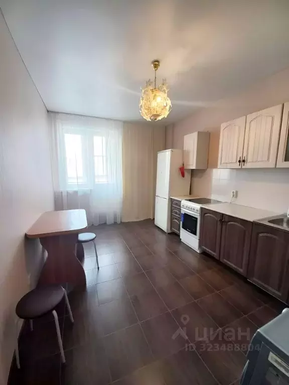 1-к кв. Липецкая область, Липецк ул. С.Л. Коцаря, 10 (37.5 м) - Фото 1