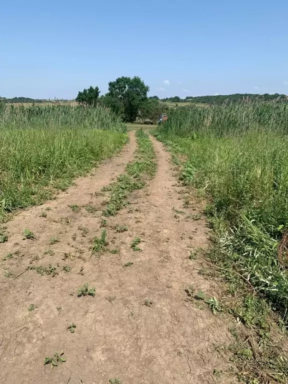Участок в Краснодарский край, Анапа муниципальный округ, Иванов хут. ... - Фото 2