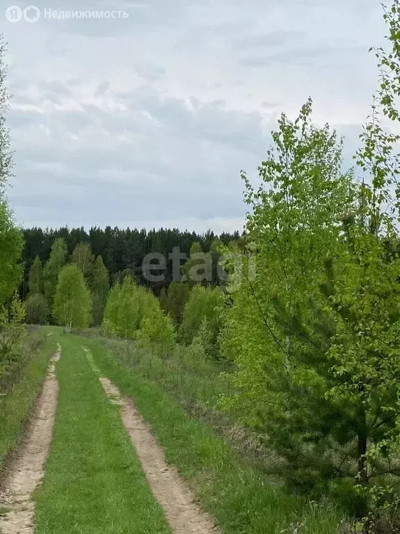 Участок в Кемеровский муниципальный округ, деревня Жургавань (800 м) - Фото 0