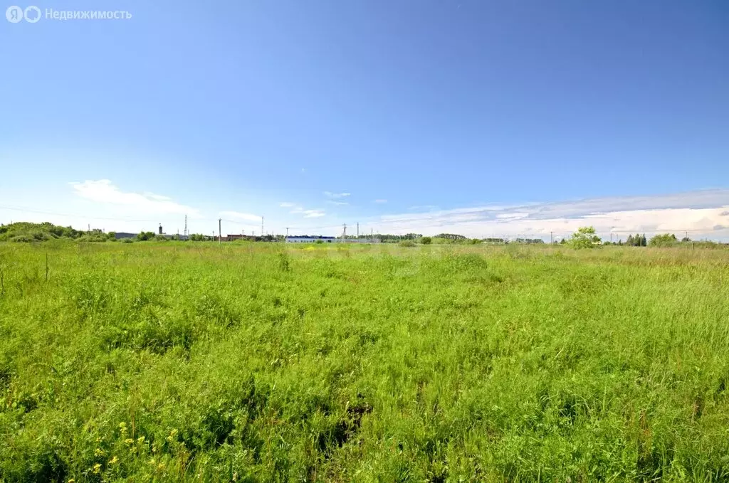 Участок в Ялуторовск, улица Лизы Чайкиной (9 м) - Фото 2