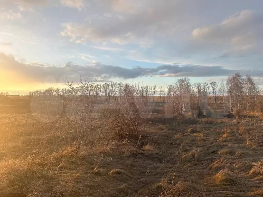 Участок 8 сот. (ИЖС) - Фото 1