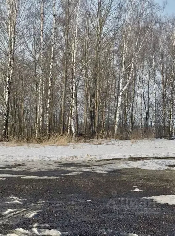 Участок в Ленинградская область, Всеволожский район, Бугровское ... - Фото 1