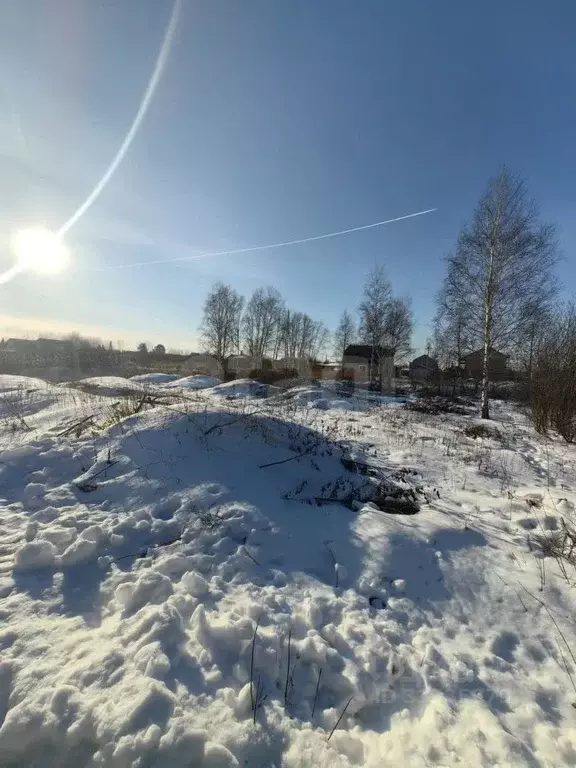 Участок в Тюменская область, Тюмень Якорь садовое товарищество, ул. ... - Фото 0