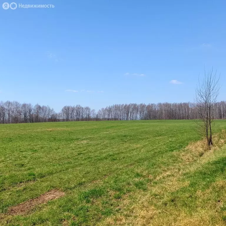 Участок в Калужская область, Бабынинский муниципальный округ, ... - Фото 2