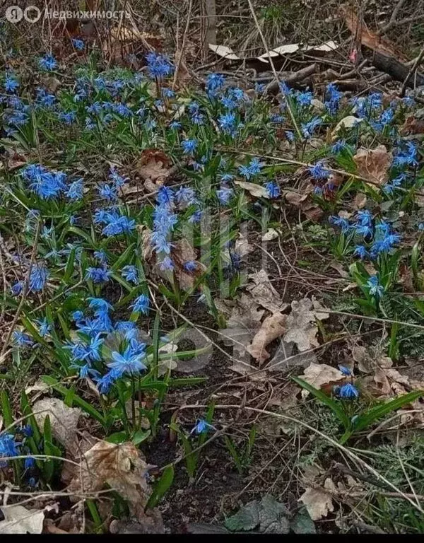 1к в 4-комнатной квартире (12 м) - Фото 1