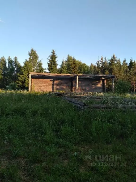 Участок в Вологодская область, Сокольский муниципальный округ, д. ... - Фото 0