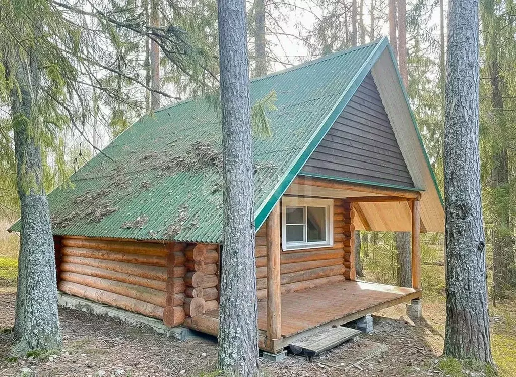 Дом в Псковская область, Гдовский район, Полновская волость, д. Глушь  ... - Фото 2