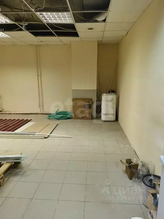 Помещение свободного назначения в Коми, Сыктывкар ул. Старовского, ... - Фото 2