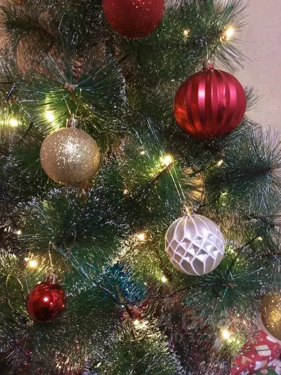 Дом в Брянская область, Брянский район, Снежское с/пос, с. Толмачево ... - Фото 2