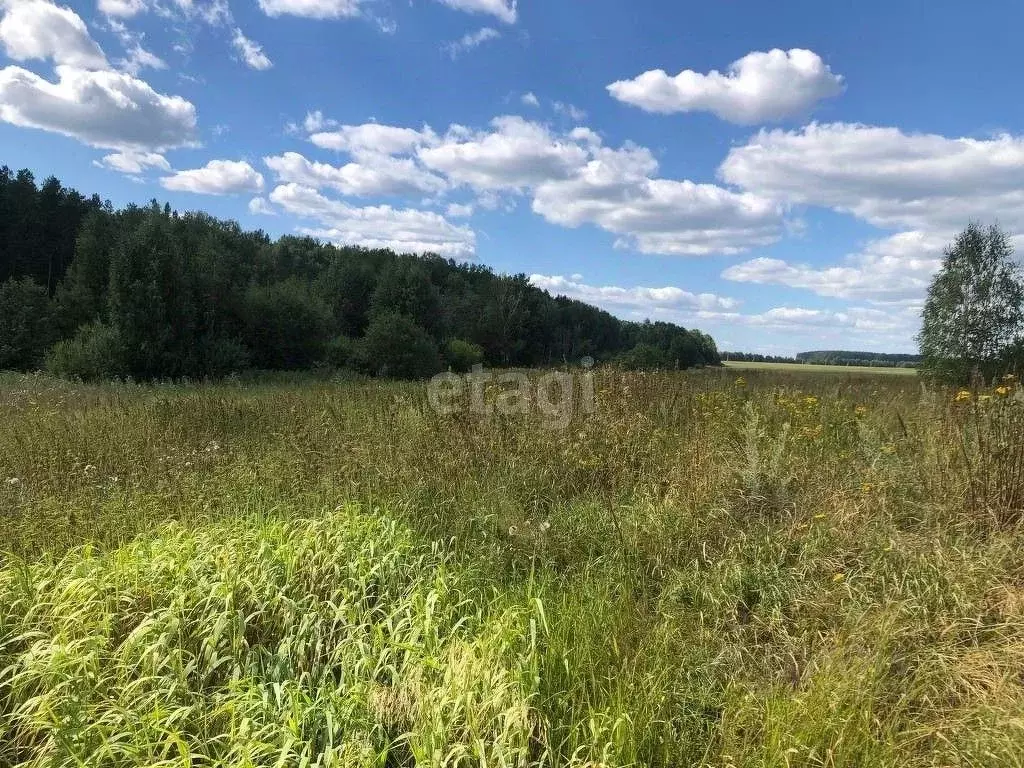 Участок в Свердловская область, Сысерть (9.62 сот.), Купить земельный  участок в Сысерти, ID объекта - 20006211523