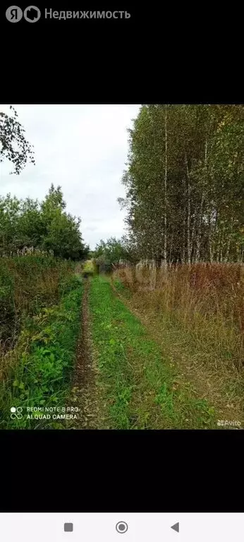 Участок в Мгинское городское поселение, садовые участки (700 м) - Фото 0
