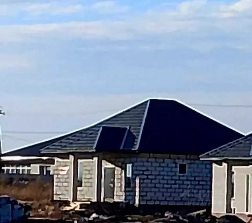 Дом в Алтайский край, Барнаул городской округ, пос. Черницк ул. ... - Фото 0