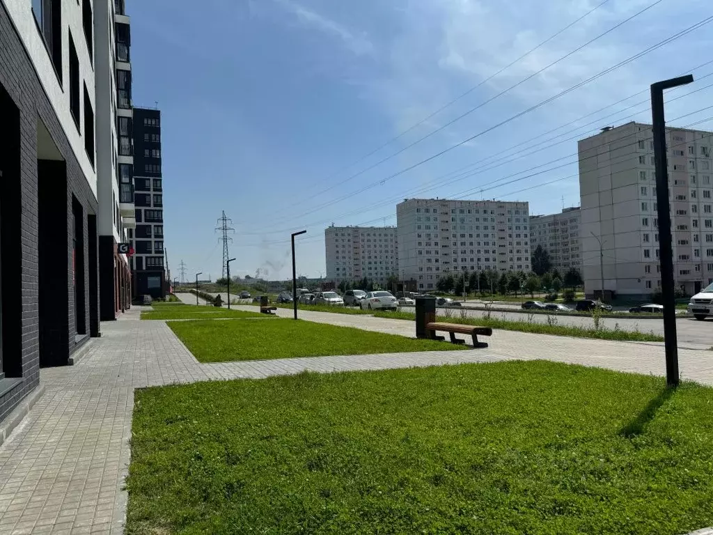 Помещение свободного назначения в Новосибирская область, Новосибирск ... - Фото 1