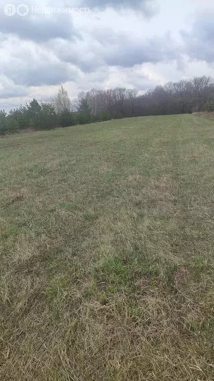 Участок в село Озёрки, Молодёжная улица (17 м) - Фото 1