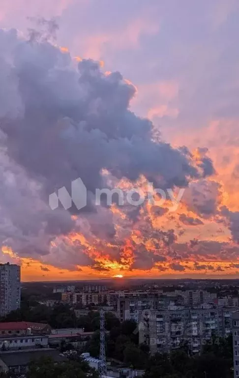 1-к кв. Калининградская область, Калининград Батальная ул., 1 (46.8 м) - Фото 2